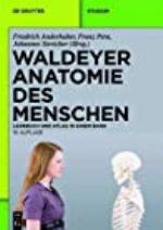 Waldeyer - Anatomie Des Menschen