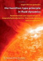 The Hamilton-Type Principle in Fluid Dynamics