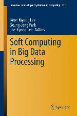 Soft computing in big data processing