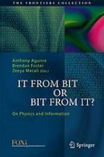 It from Bit or Bit from It?