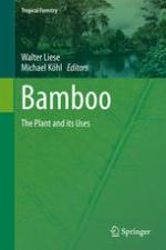 Bamboo : the plant and its uses