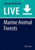Marine Animal Forests.
