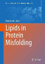 Lipids in Protein Misfolding