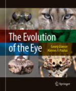 The Evolution of the Eye