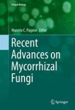 Recent advances on mycorrhizal fungi