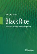 Black Rice Research, History and Development