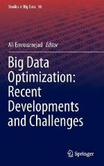 Big Data Optimization