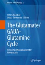 Glutamate/gaba-glutamine cycle.