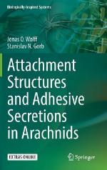 Attachment Structures and Adhesive Secretions in Arachnids