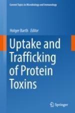 Uptake and trafficking of protein toxins