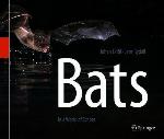 Bats