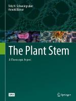 The Plant Stem