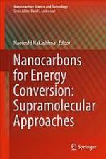 Nanocarbons for Energy Conversion