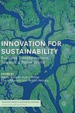 Innovation for sustainability : business transformations towards a better world