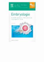 Embryologie Entwicklungsstadien - Frühentwicklung - Organogenese - Klinik