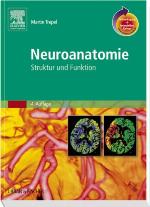 Neuroanatomie