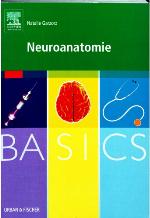 Basics Neuroanatomie