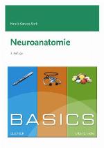 Basics Neuroanatomie