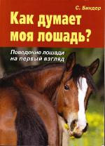 Was denkt mein Pferd? [Pferdeverhalten auf einen Blick]