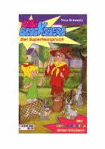 Bibi Blocksberg Bd. 11. Der Superhexspruch : [mit Extra-Hextra Brief-Stickern]