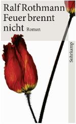 Feuer brennt nicht Roman