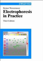 Electrophoresis In Practice