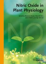 Nitride semiconductor devices : fundamentals and applications