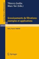 Grossissements de Filtrations