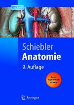Anatomie