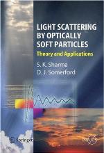 Light Scattering by Optically Soft Particles