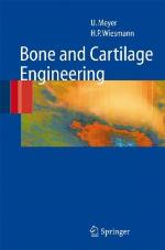 Bone and Cartilage Engineering