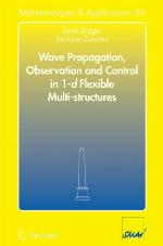 Wave Propagation, Observation And Control In 1 D Flexible Multi Structures (Mathématiques Et Applications)