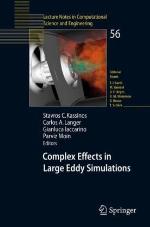 Complex Effects in Large Eddy Simulations