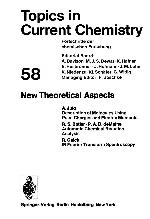 New Theoretical Aspects