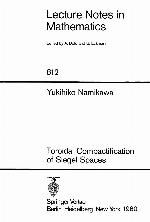 Toroidal compactification of Siegel spaces