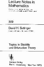 Topics in stability and bifurcation theory