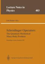 Schrödinger Operators the Quantum Mechanical Many-Body Problem : Proceedings of a Workshop Held at Aarhus, Denmark 15 May - 1 August 1991.
