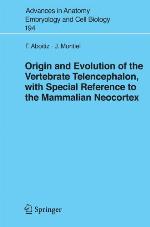 Origin and Evolution of the Vertebrate Telencephalon, with Special Reference to the Mammalian Neocortex