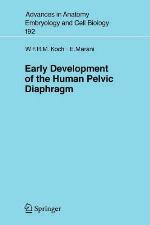 Early Development of the Human Pelvic Diaphragm