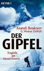 Der Gipfel Tragödie am Mount Everest