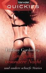 Quickies 35 Eine ganz besondere Nacht und andere scharfe Stories