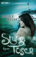 Sturmtosen : Roman