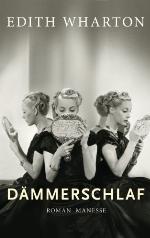 Dämmerschlaf Roman