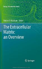 The Extracellular Matrix