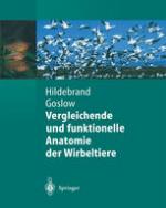 Vergleichende und funktionelle Anatomie der Wirbeltiere