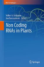 Non Coding Rnas in Plants