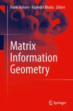 Matrix information geometry