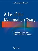 Atlas of the Mammalian Ovary: Morphological Dynamics and Potential Role of Innate Immunity