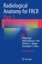 Radiological Anatomy for FRCR Part 1