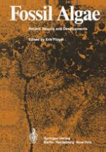 Fossil Algae Recent Results and Developments